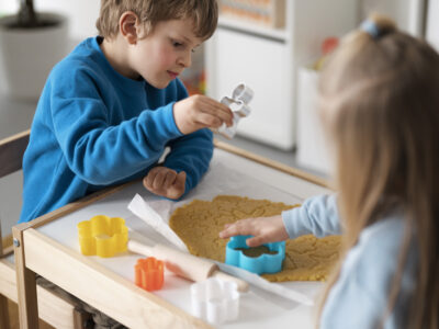 Montessori Diploma Principles and Philosophy-Level one